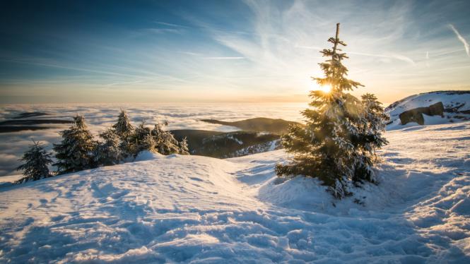 Krkonoše