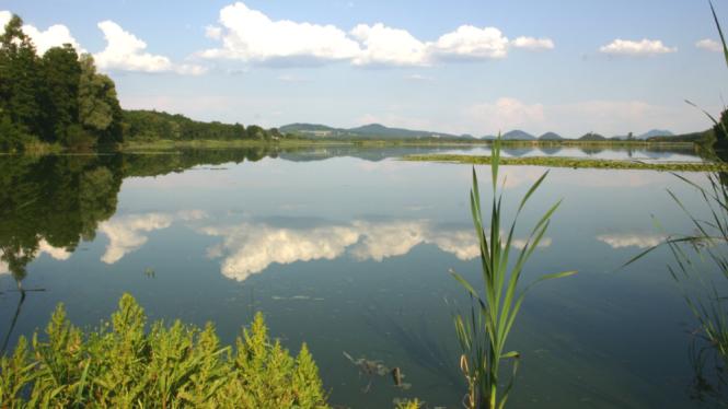 mzp_mokrad_129_2970NovozámeckýRybník