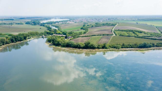 rybník Nesyt