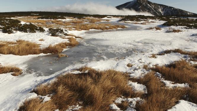 33209_2012_11_16 Cropped.jpg