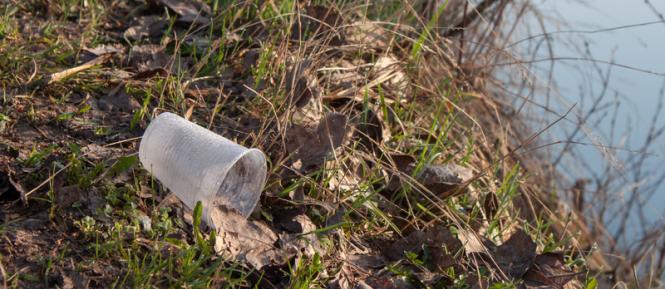 AdobeStock_208528437_1_800x600.jpeg
