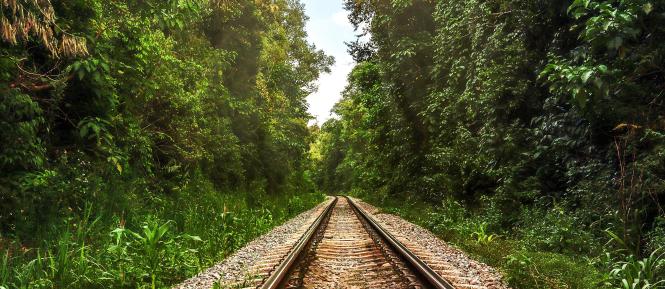 AdobeStock_497138512 Cropped.jpg