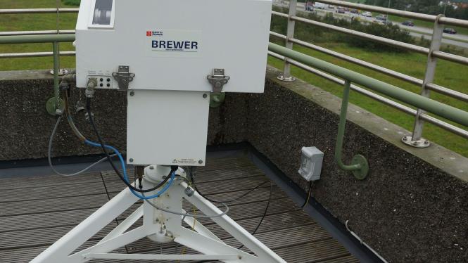 Brewer Cropped.jpg
