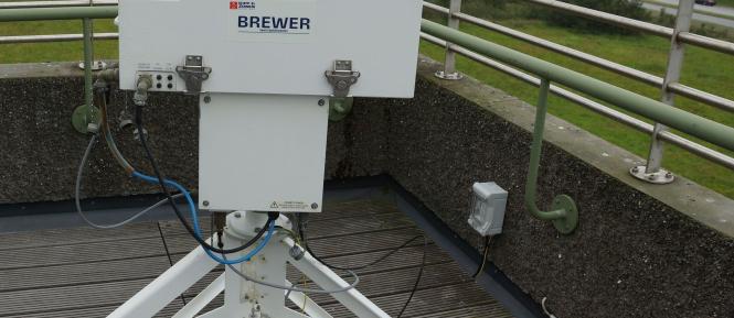 Brewer Cropped.jpg