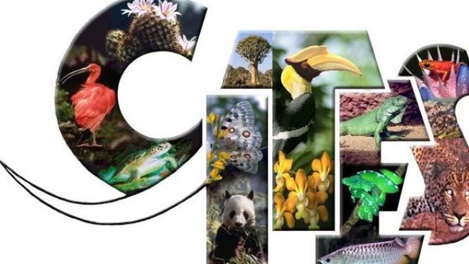 CITES logo colour Cropped.jpg