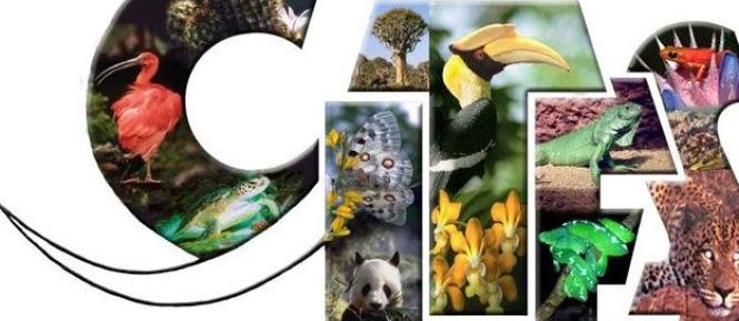 CITES logo colour Cropped.jpg