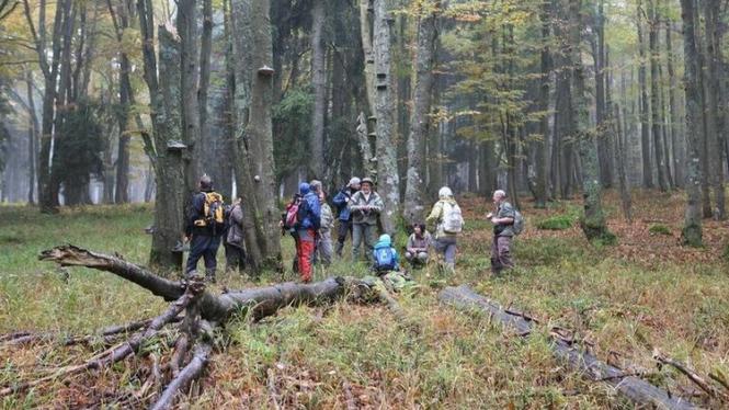 Foto_Sumava1.jpg