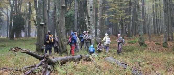 Foto_Sumava1.jpg