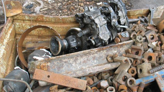 IMG_0416 Cropped.jpg