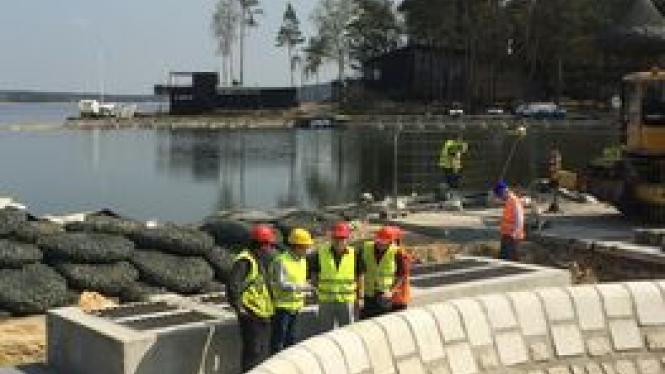 IMG_3838 Cropped.jpg