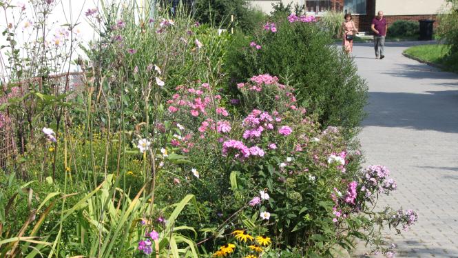 IMG_7831 Cropped.jpg