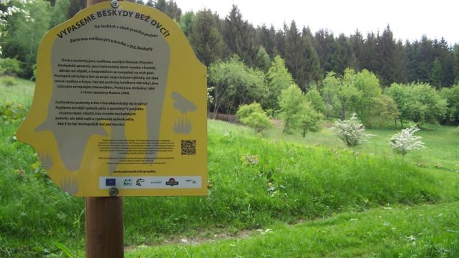 LIFE_foto Cropped.jpg