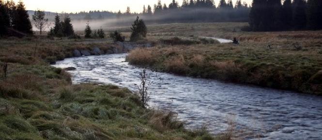 SUMAVA.jpg