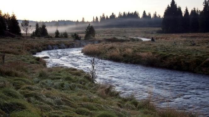 SUMAVA.jpg