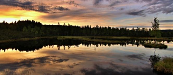 chalupska slat Cropped-1.jpg