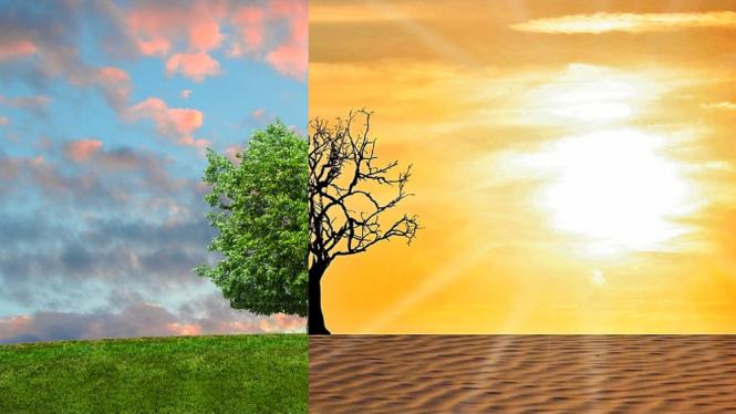 climate-change-gebf958d02_1280.jpg