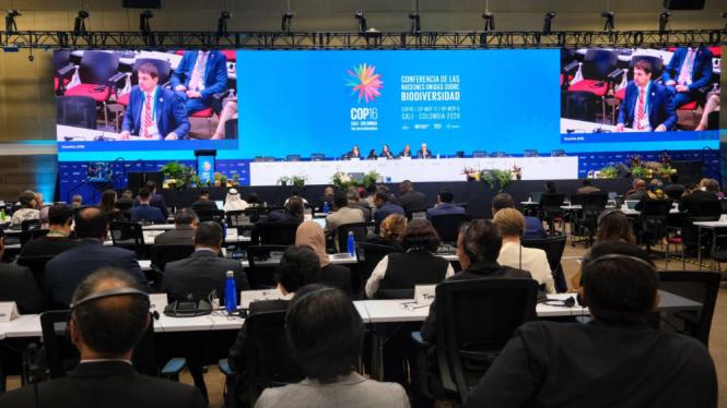 cop16 (1).jpg