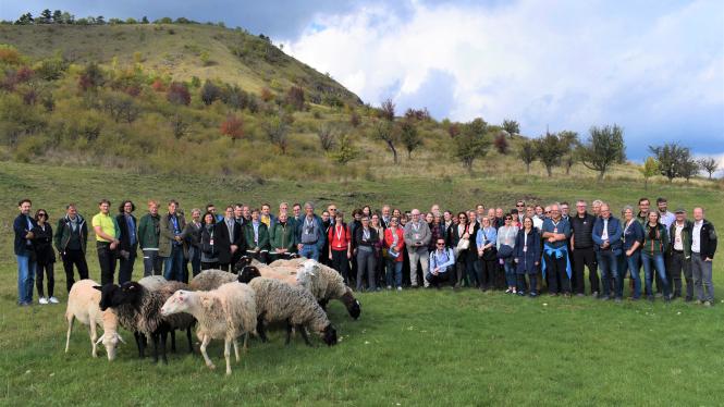 group photo.jpg