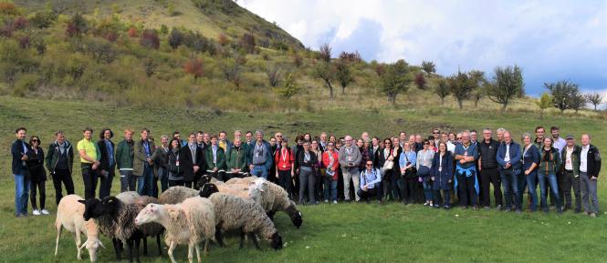 group photo.jpg