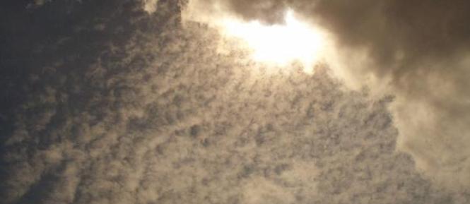 klima Cropped.jpg