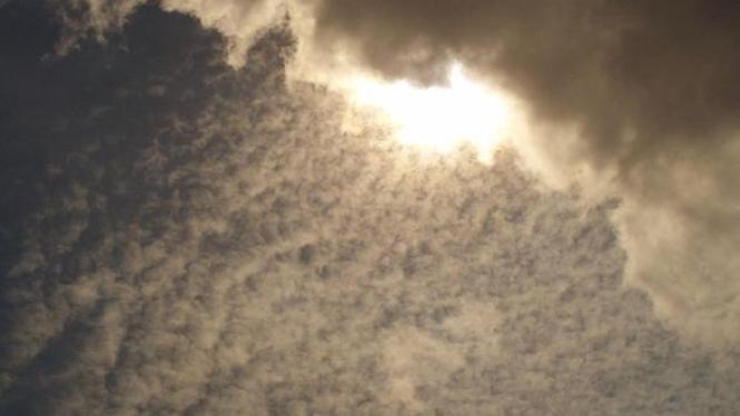 klima Cropped.jpg