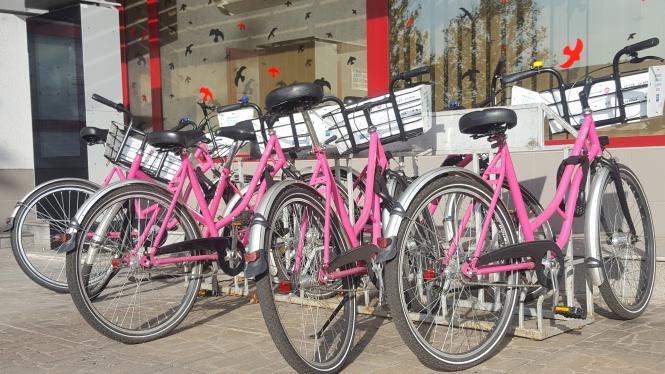 kola_bikesharing Cropped.jpg