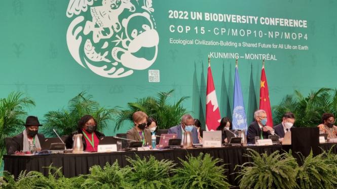mzp_COP15_Montreal01.jpg