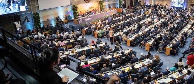 mzp_UNEA_Nairobi2024.jpg
