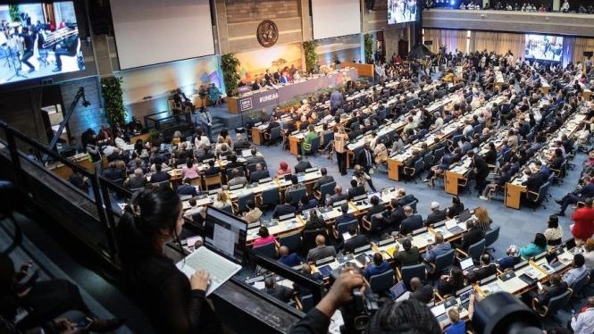 mzp_UNEA_Nairobi2024.jpg