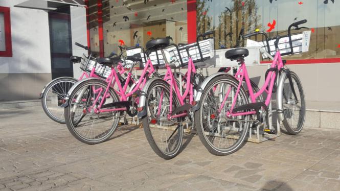 mzp_bikesharing01.jpg