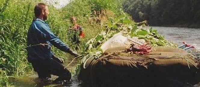 mzp_invazni_rostliny01.jpg