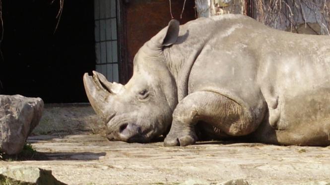 mzp_zoo_ostrava01.jpg