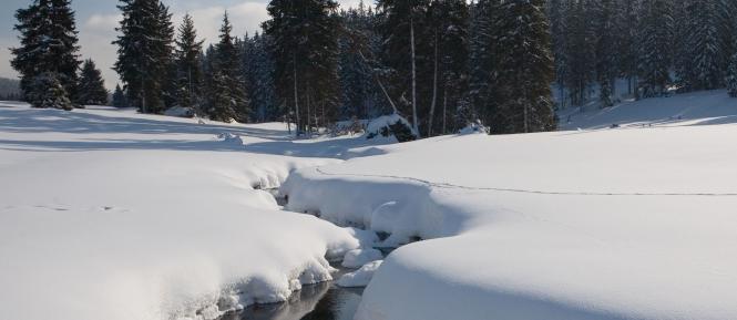 natur.jpg