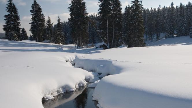 natur.jpg