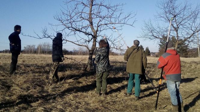 nno_projekty Cropped (2).jpg