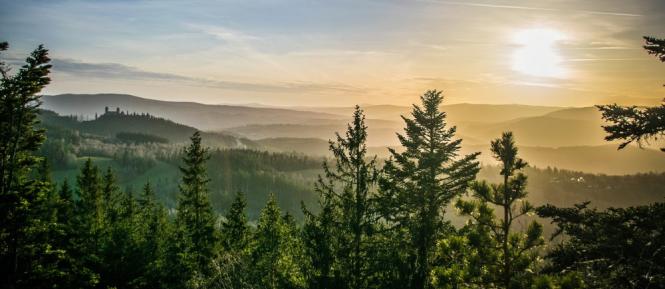 sumava111.jpg