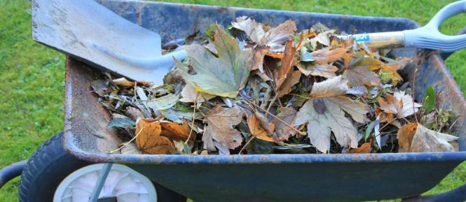 wheelbarrow-3794784_1280.jpg