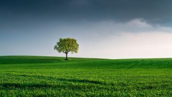 Krajina_se_stromem_klima