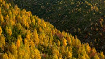 mzp_krivoklatsko_14520251