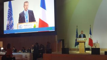 20151207_180944 Cropped.jpg