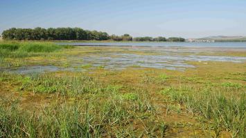 7_AOPKCR_JiriKmet_Nesyt Cropped.jpg