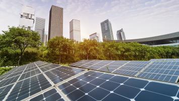 AdobeStock_240882922 Cropped.jpg