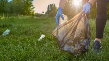 AdobeStock_275232750 Cropped.jpg