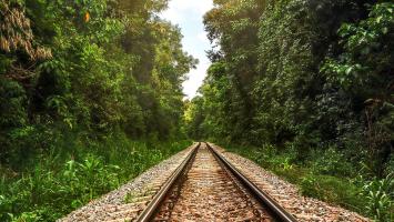 AdobeStock_497138512 Cropped.jpg