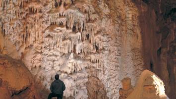 Big Javoricko Cropped.jpg