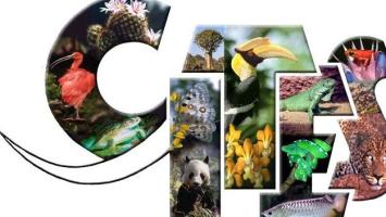 CITES logo colour Cropped.jpg
