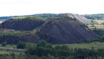 DSC_0108 Cropped.jpg