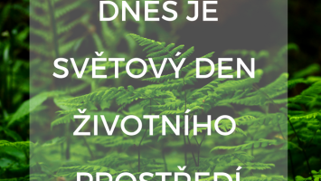 DZP.png
