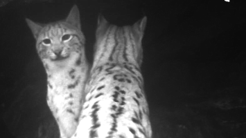 Daniel s matkou2 Cropped.png