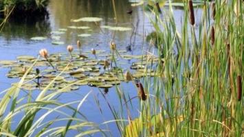 EEA_foto_soutez Cropped (1).jpg